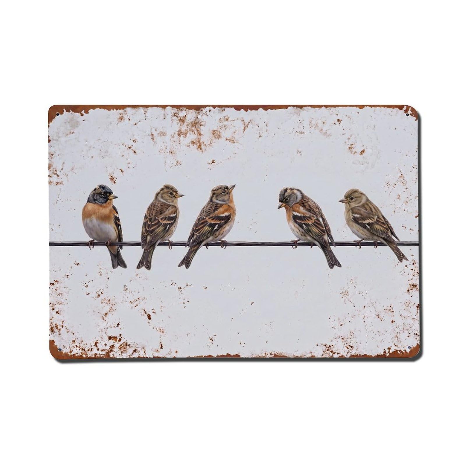 Vintage Retro Birds Brambling Metal Tin Sign