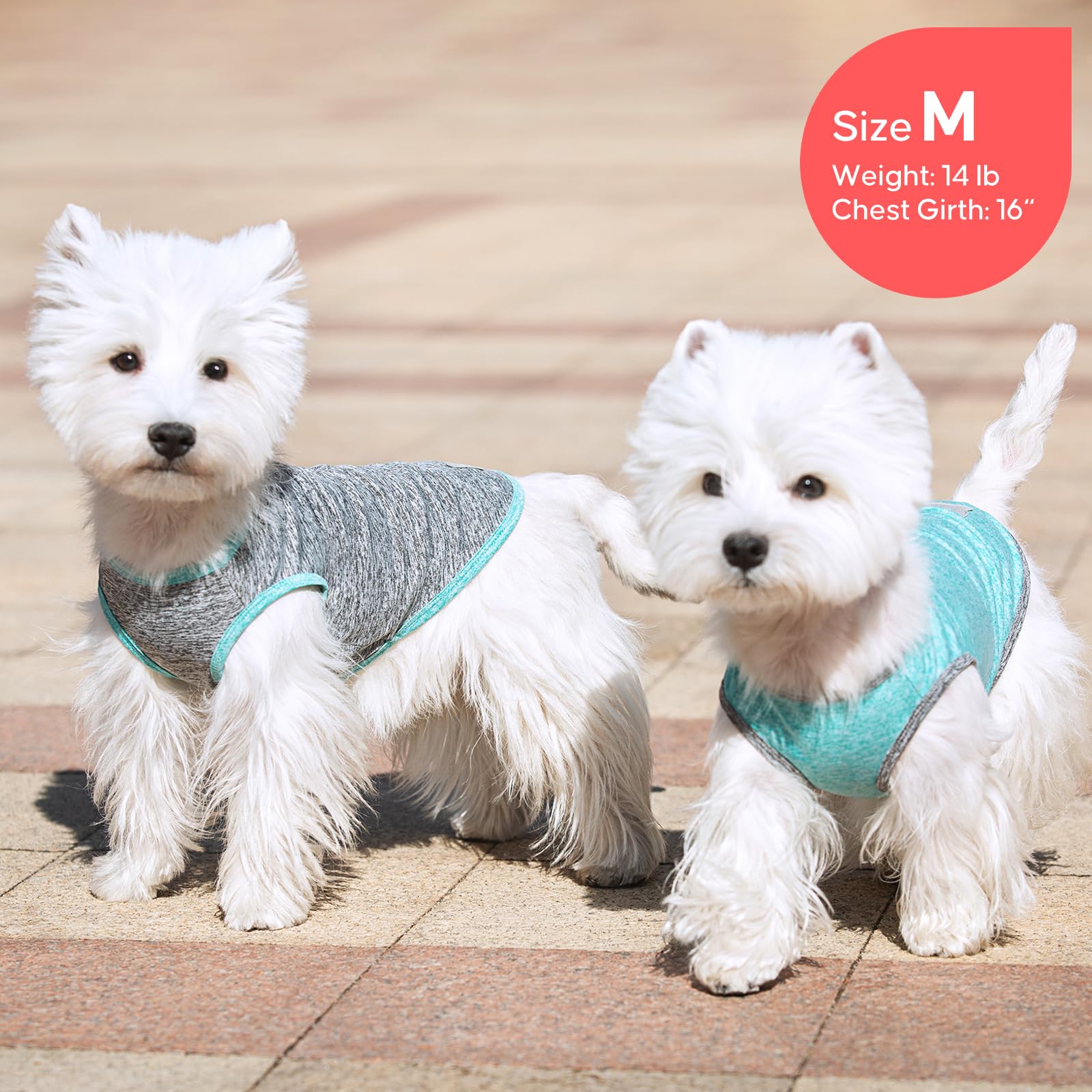 KYEESE Paquete de 2 camisas para perro, protección solar, secado rápido, suaves, elásticas, con etiqueta reflectante, chaleco sin mangas, ropa para perros pequeños y medianos, S, gris y azul