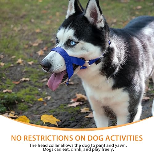 Miniatura 4 de Collar de cabeza de perro, herramienta de entrenamiento sin tirones para perros en paseos, incluye guía de entrenamiento gratuita, 5 (M, azul)
