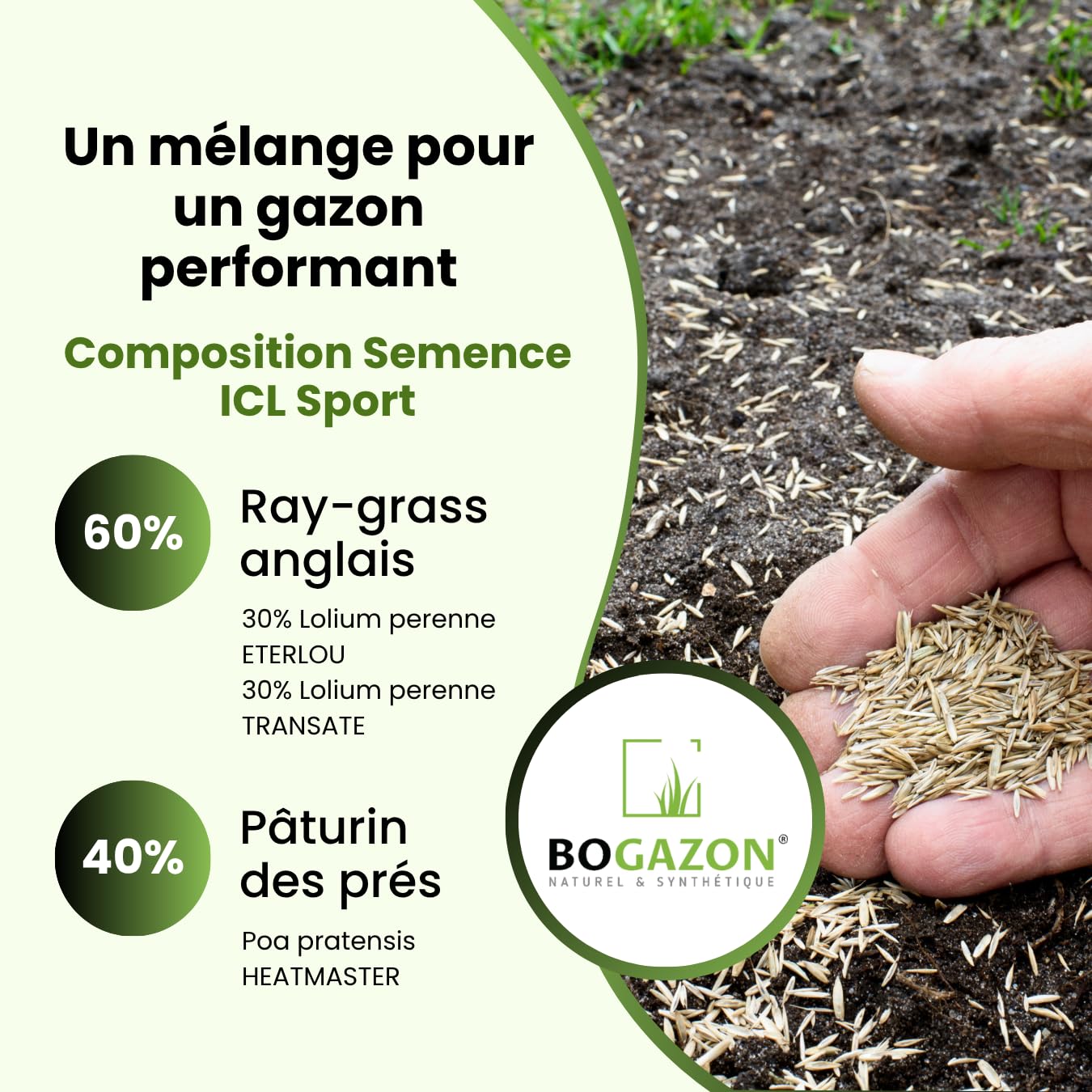 Gazon a semer ICL Sport 10 kg | Graines de Gazon Résistant Piétinement Terrain de Sport & Jardin | Semence Universel Dense et Uniforme