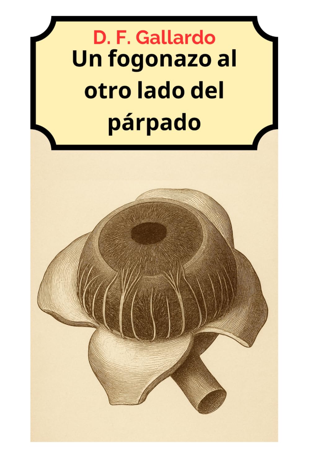 Un fogonazo al otro lado del párpado