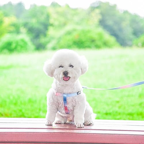 Miniatura 6 de AIITLE Juego de arnés y correa para perro pequeño sin tirones, a prueba de escapeajuste rápido, fácil para entrenar y caminar, anillo doble D, arnés