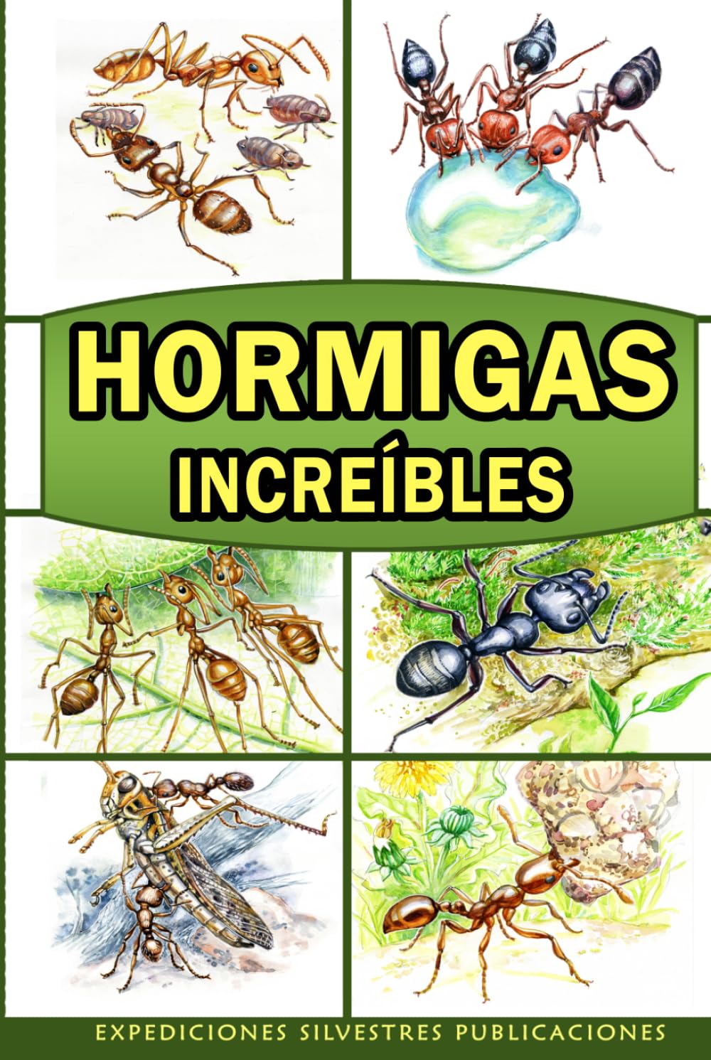 Hormigas Increíbles: Un libro con información interesante e imágenes asombrosas de hormigas (Exploradores Junior de la Naturaleza)
