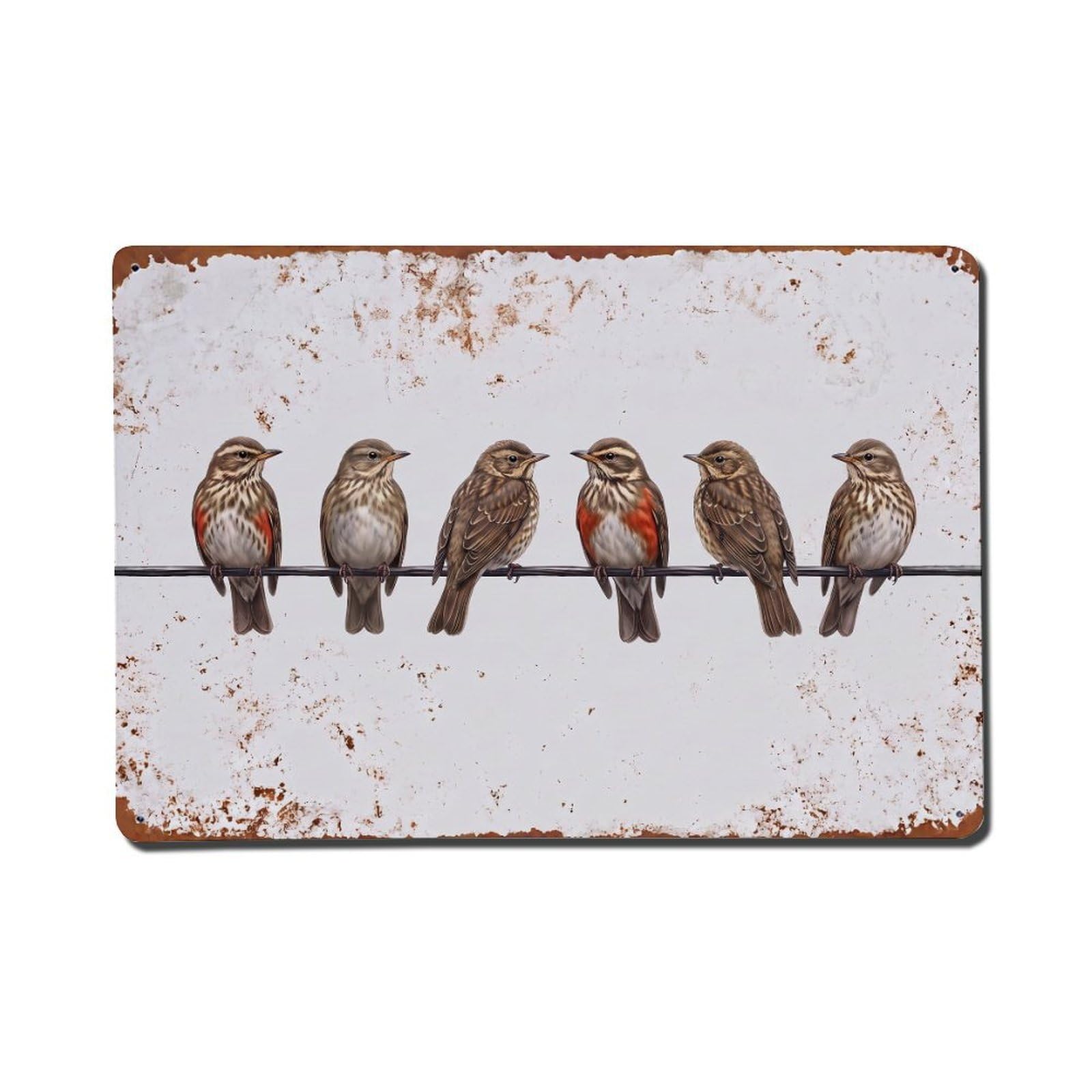 Vintage Retro Birds Redwing Metal Tin Sign