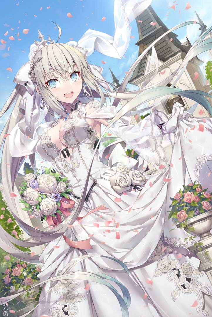 Amazon.co.jp: fate fgo 我美蘭 B1 タペストリー モルガン ドレス 