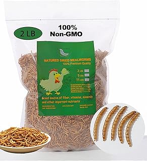 Euchirus Non-GMO High-Protein Large Dried Mealworms for Chickens, Natural Grubs and Poultry Treats as Chicken Feed,Duck Food, Wild Birds Seed,Fish Food,Reptile Food,Amphibian Food(Mealworms-2LB)