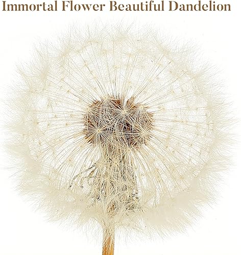 Miniatura 6 de ARTIBETTER Estatua de espécimen de hojaldre real de diente de león 3D en cubo de cristal de cristal, adorno de escritorio, decoración Fengshui para