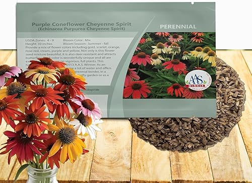Outsidepride Cheyenne Spirit Semillas de equinácea equinácea  10 piezas de semillas perennes, tolerantes a la sequía, mezcla de semillas de