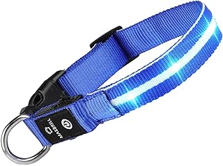 LED Dog Collar-USB Rechargeable Light Collar- Safety Collar for Small Medium Large Dogs (M(19.690.98inch), Blue)