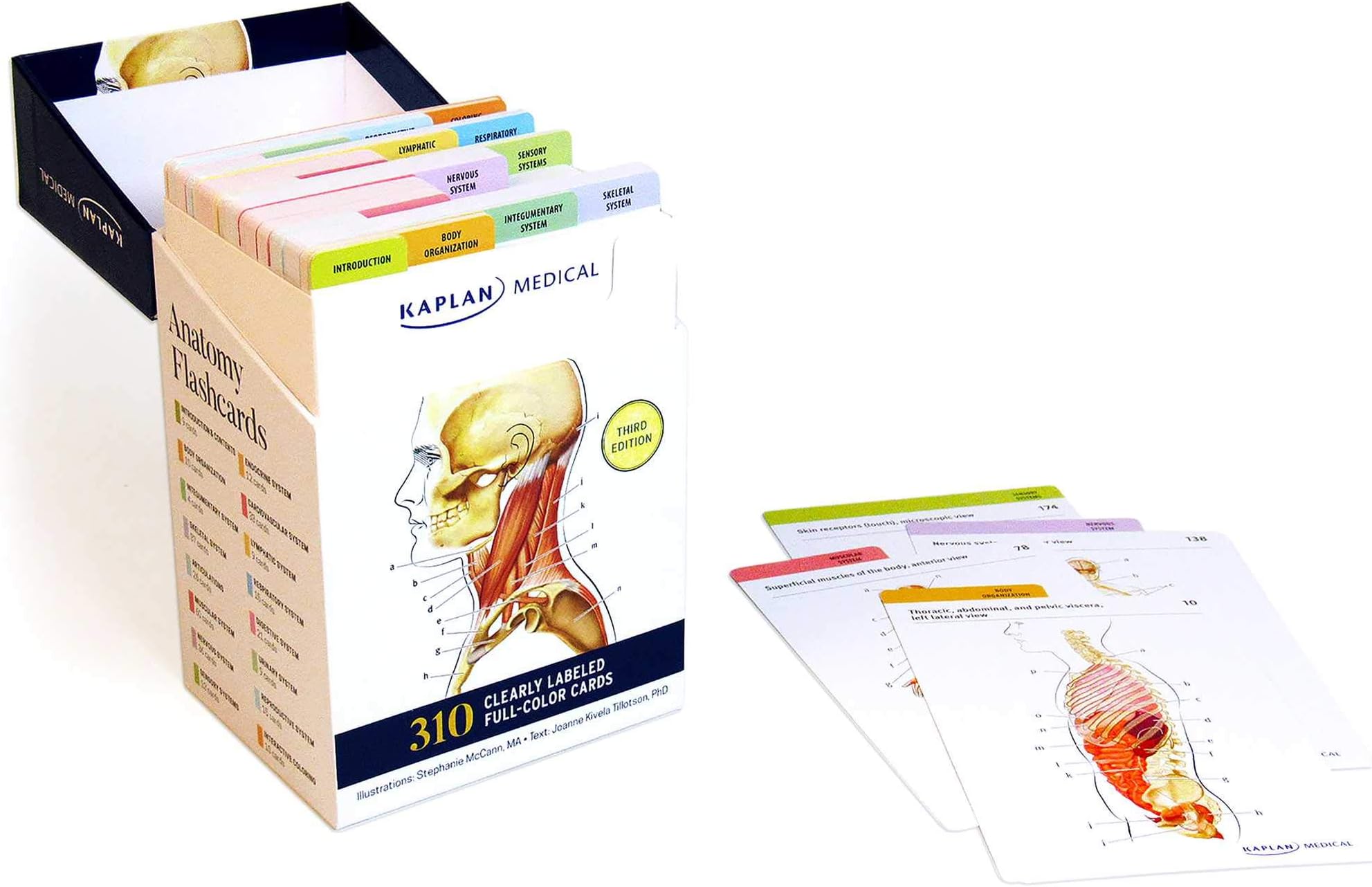 Anatomy Flashcards