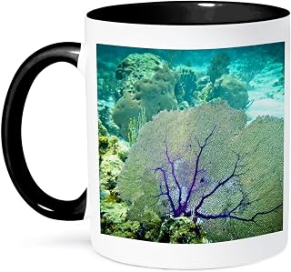 3dRose Marine life, Sea Fan, Belize Barrier Reef, Belize - SA02 MWI0004 - Mark Williford 11oz Two-Tone Black Mug