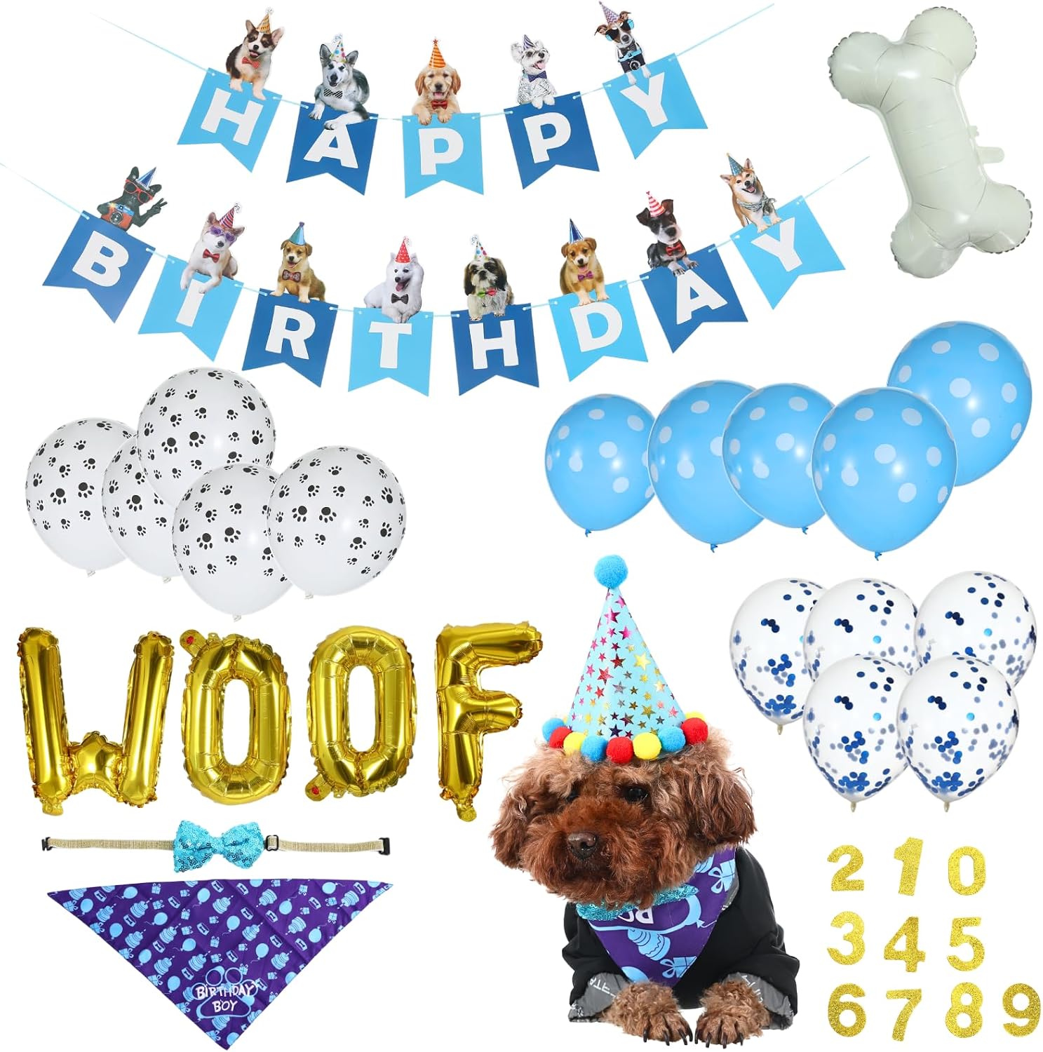 Blue's Best Dog Birthday Party Set Includes Bandana — free download