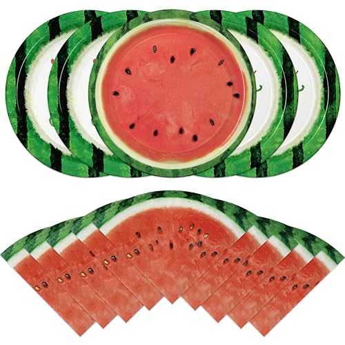 40Pcs Watermelon Birthday Plates and Napkins Set Disposable Dinnerware with