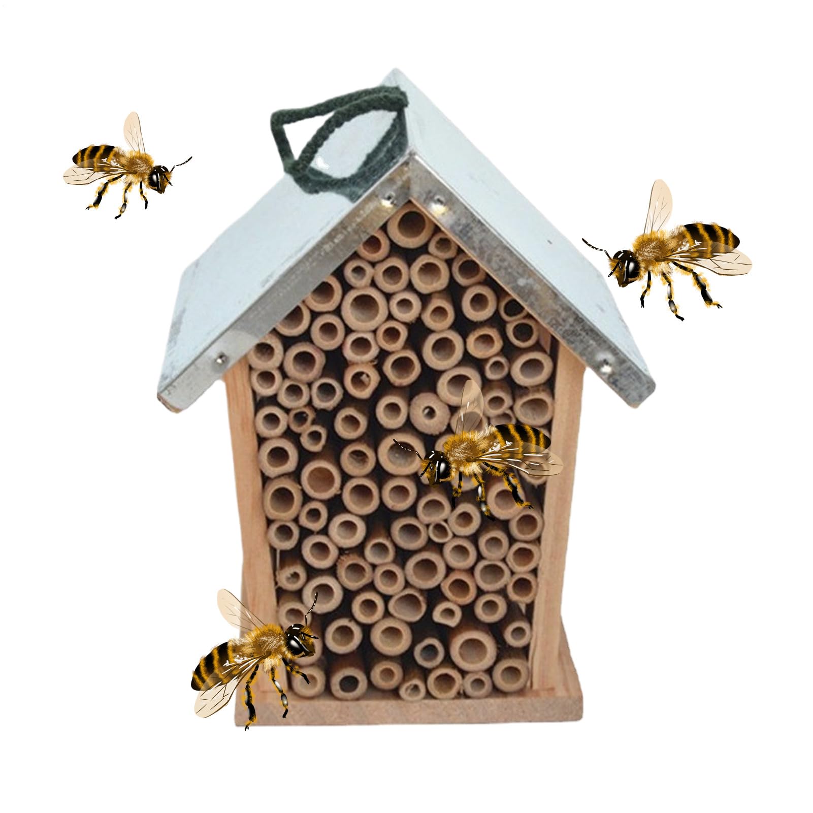 Pollinator House et abri en bois ladyme pour la nidification des coccinelles