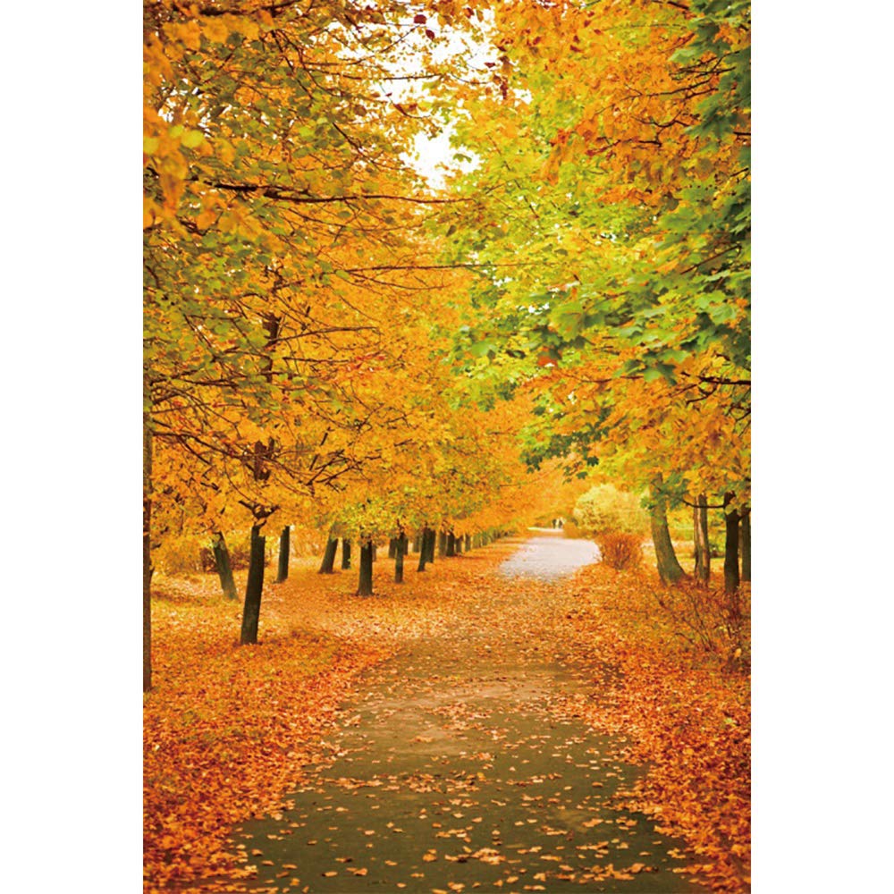 Amazon | Qinunipoto 撮影用 背景布 秋 落ち葉の紅葉撮影 背景 背景幕