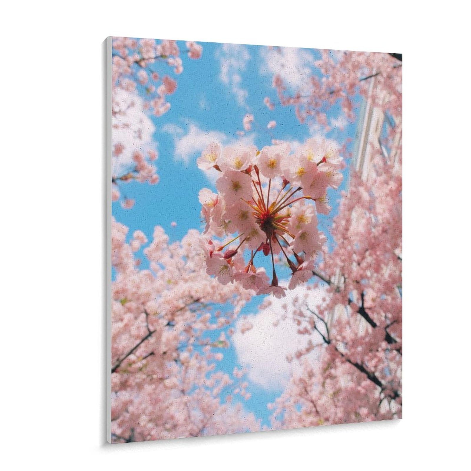 Amazon | 咲く桜と青空 数字油絵 花の写真撮影 数字キット塗り絵