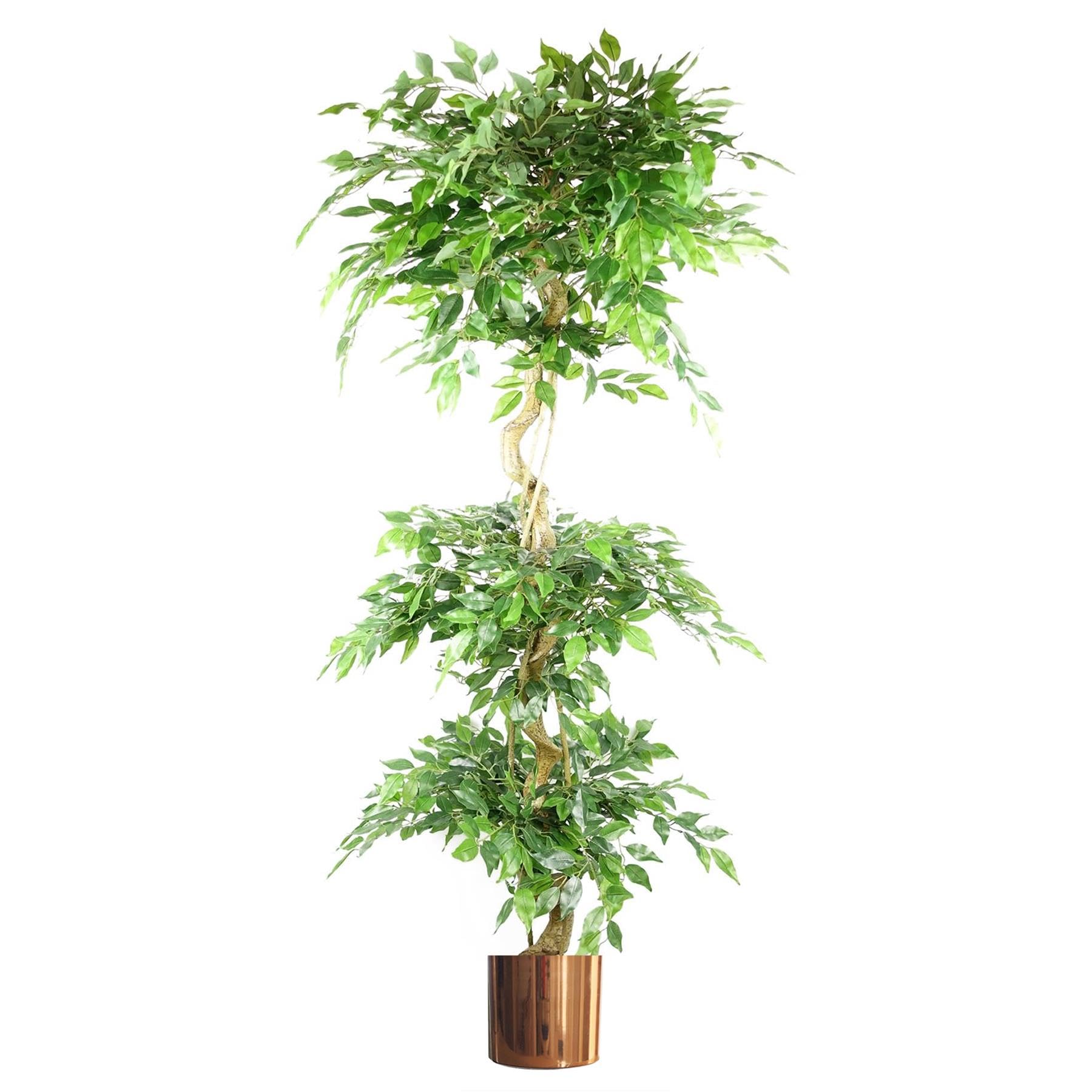 Leaf 180Cm Artificial Twisted Trunk Fruticosa Ficus Tree Triple Ball Topiary 1984 Leaves Copper Metal Planter