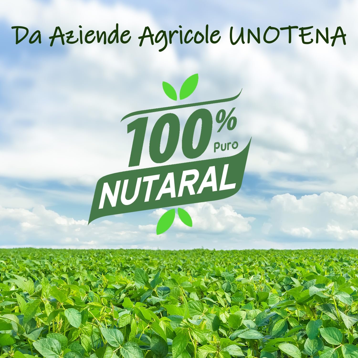 UNOTENA Cera di Soia per Candele, Cera per Candele 226g/9kg/18kg, Cera per Candele da Colare, 100% Cera di Soia Biologica Naturale per Candele[ 4.5KG ]