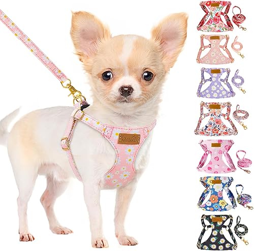 Lukovee Juego de arnés y correa para cachorro, chaleco ajustable de gamuza suave y ligero sin tirones con hebilla a presión para cachorros de tamaño