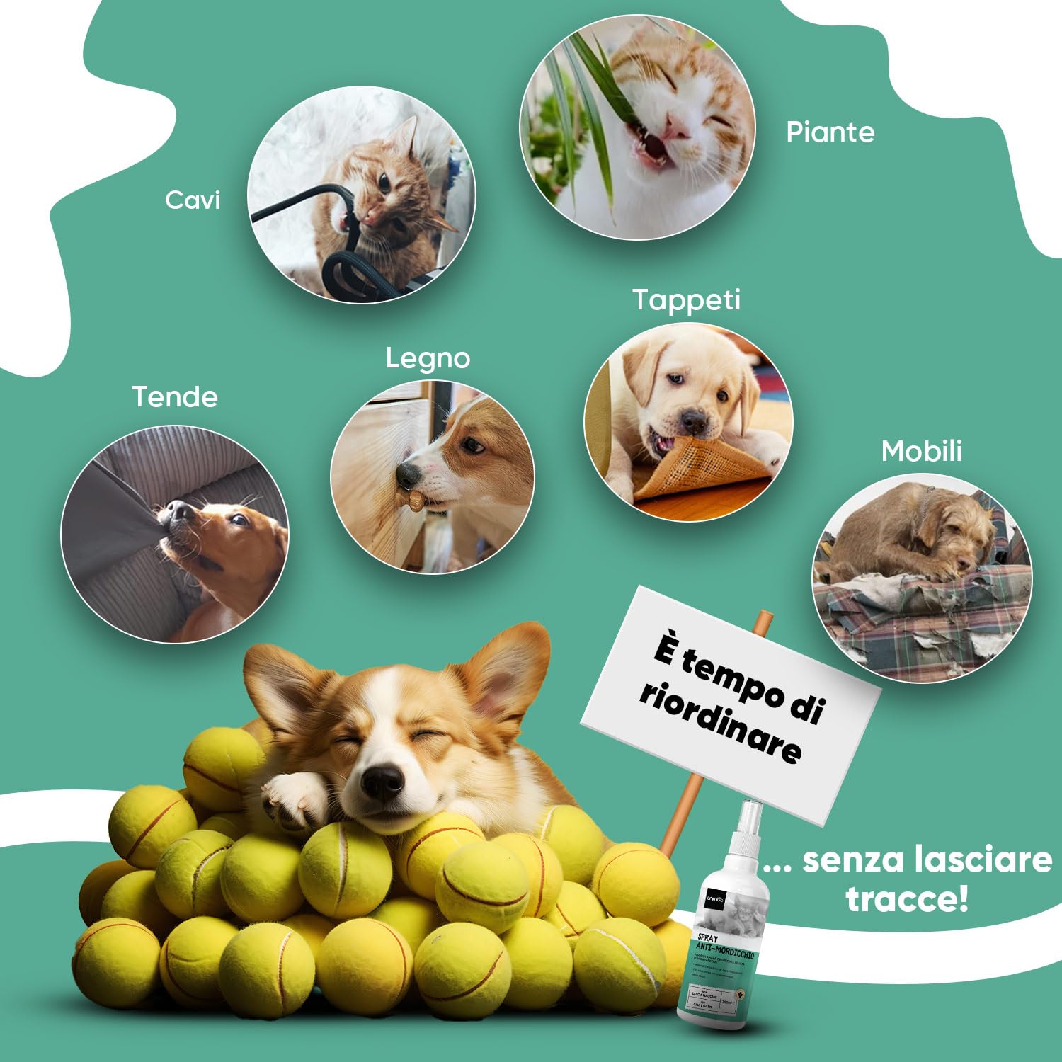 Spray Repellente per Gatti e Cani 250ml, Sapore Amaro, Dissuasore per Gatti e Cani, Spray Anti Graffi Gatto e Cane con Ingredienti Naturali, Disabituante Gatti, Spray Repellente Per Cani Senza Alcool