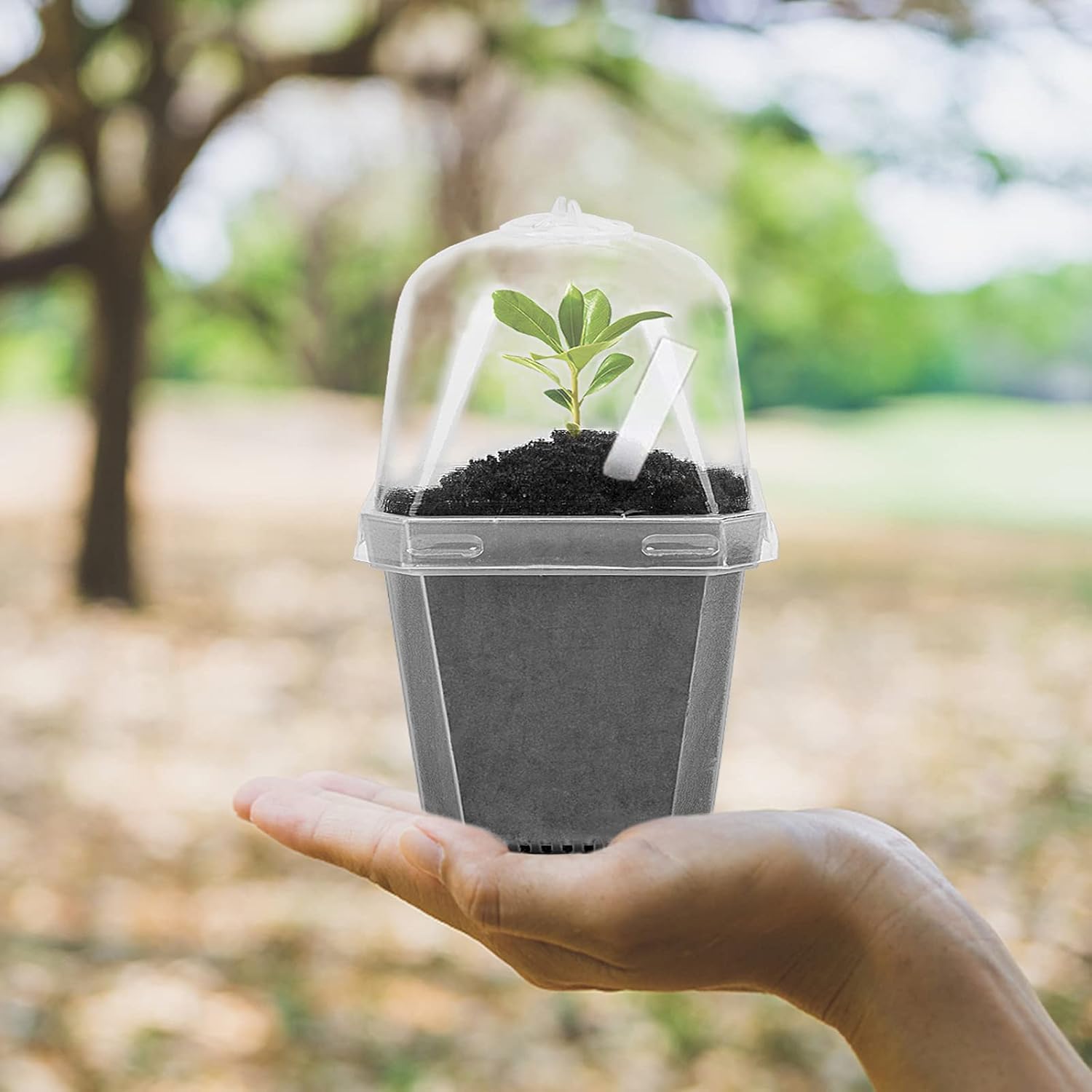 EBaokuup 10Pcs 4" Clear Plant Nursery Pots with Humidity Dome, Plastic Gardening Pot Plant Container, Seed Starting Pot with Drain Holes for Seedlings Vegetables Succulents Cuttings - Image 5