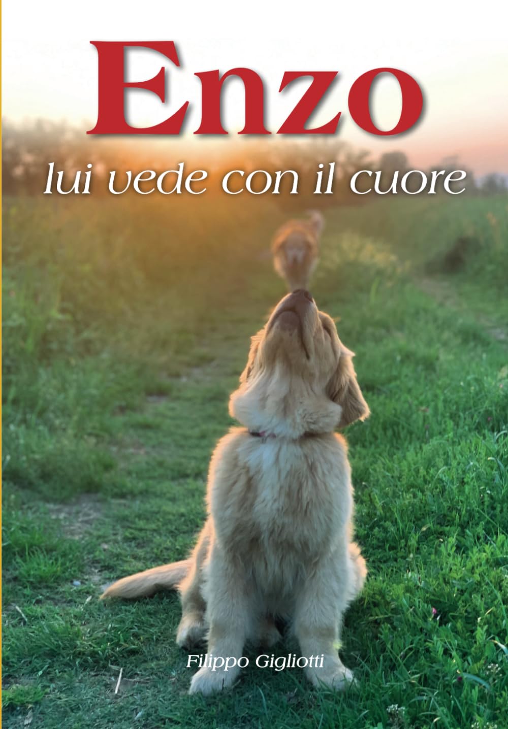 Enzo. Lui vede con il cuore