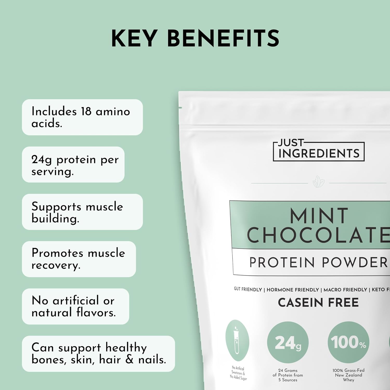 JUST INGREDIENTS Mint Chocolate Protein Powder – 30 Serving Bag – Grass-Fed Whey & Plant Protein Blend with Real Cocoa & Peppermint –Sweetened, Non-GMO, Gluten-Free, No Artificial Flavors - Image 5
