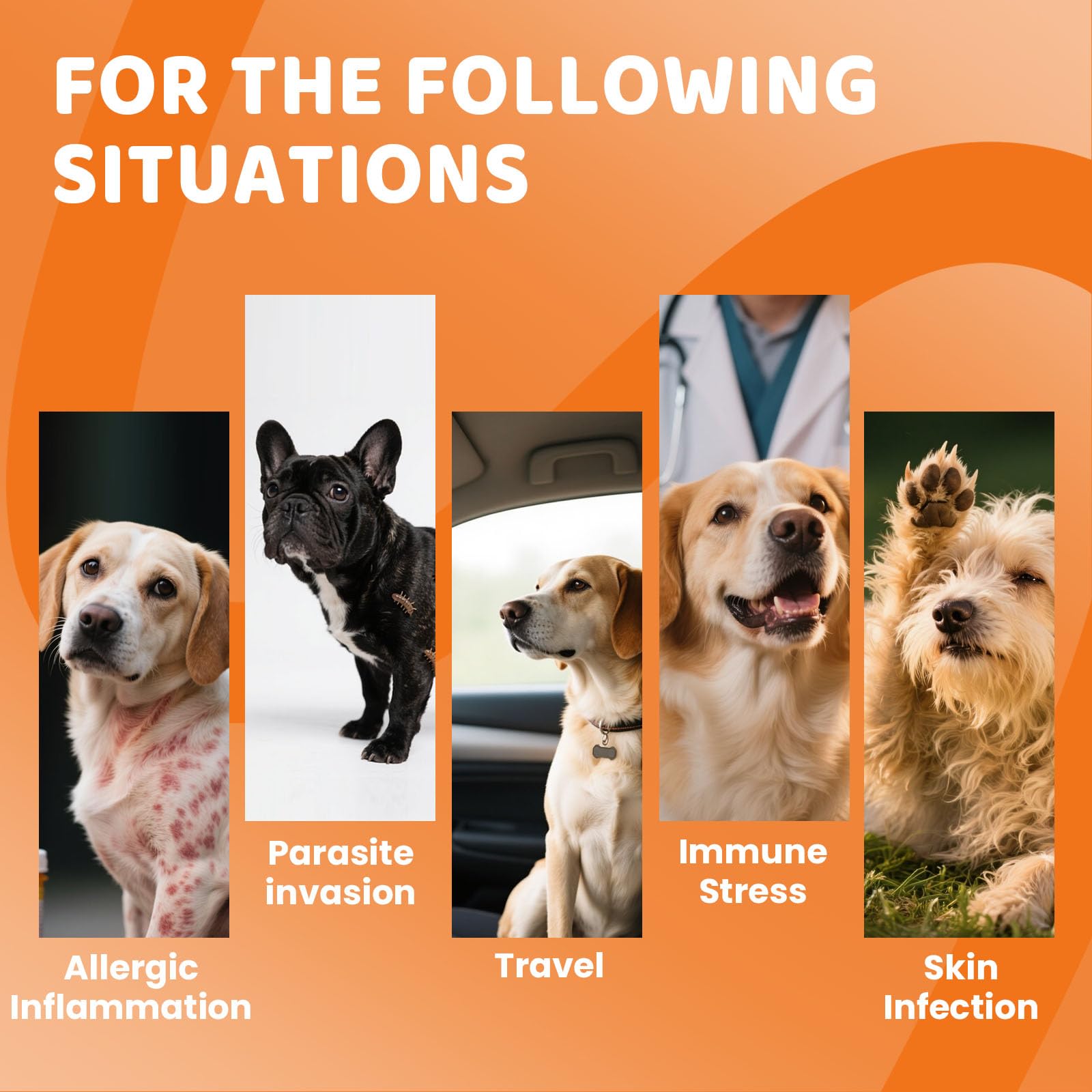 HOOLOO Calming Dog Treats with Itch Immunity for Dogs Soothe Itchy Paws, Eyes, Ears, Skin, brown, 1 count (Pack of 150) - Image 2