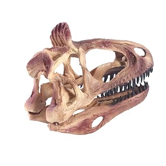 Dinosaur Skull Head Model - Resin Animal Cryolophosaurus Skull Replica Animal Skeleton Skull Head Model - for Science Educational Toys,Home Decoration Hanging