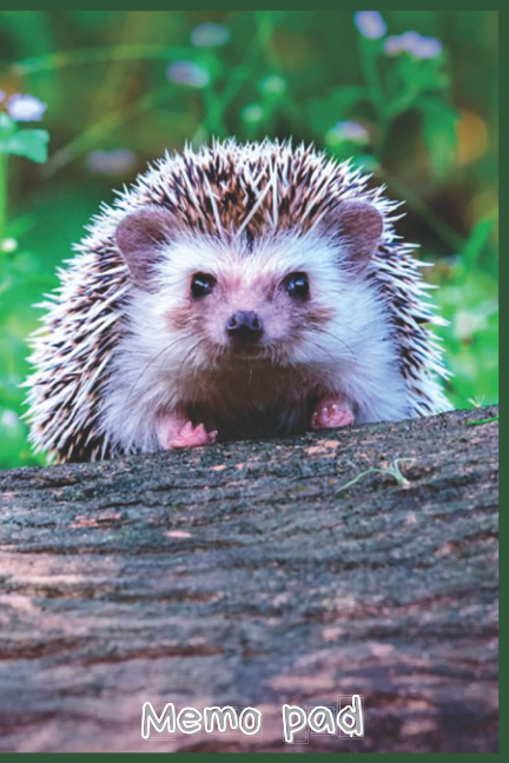 Memo pad: Cute Little Hedgehog College Ruled Notebook for Writing Notes... for Girls, Kids, School, Students and Teachers (Hedgehog Gifts)