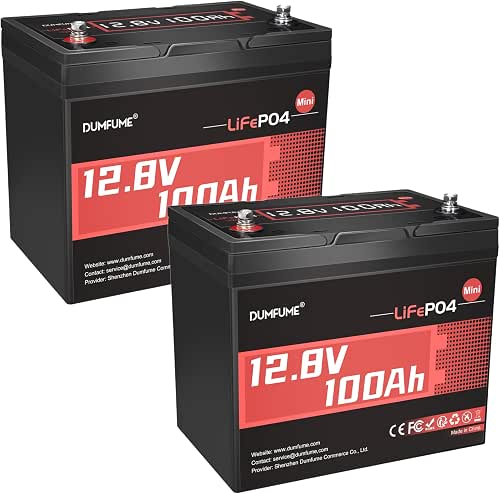 2 Pack 12V 100Ah Mini LiFePO4 Battery, Built-in 100A BMS,1280Wh