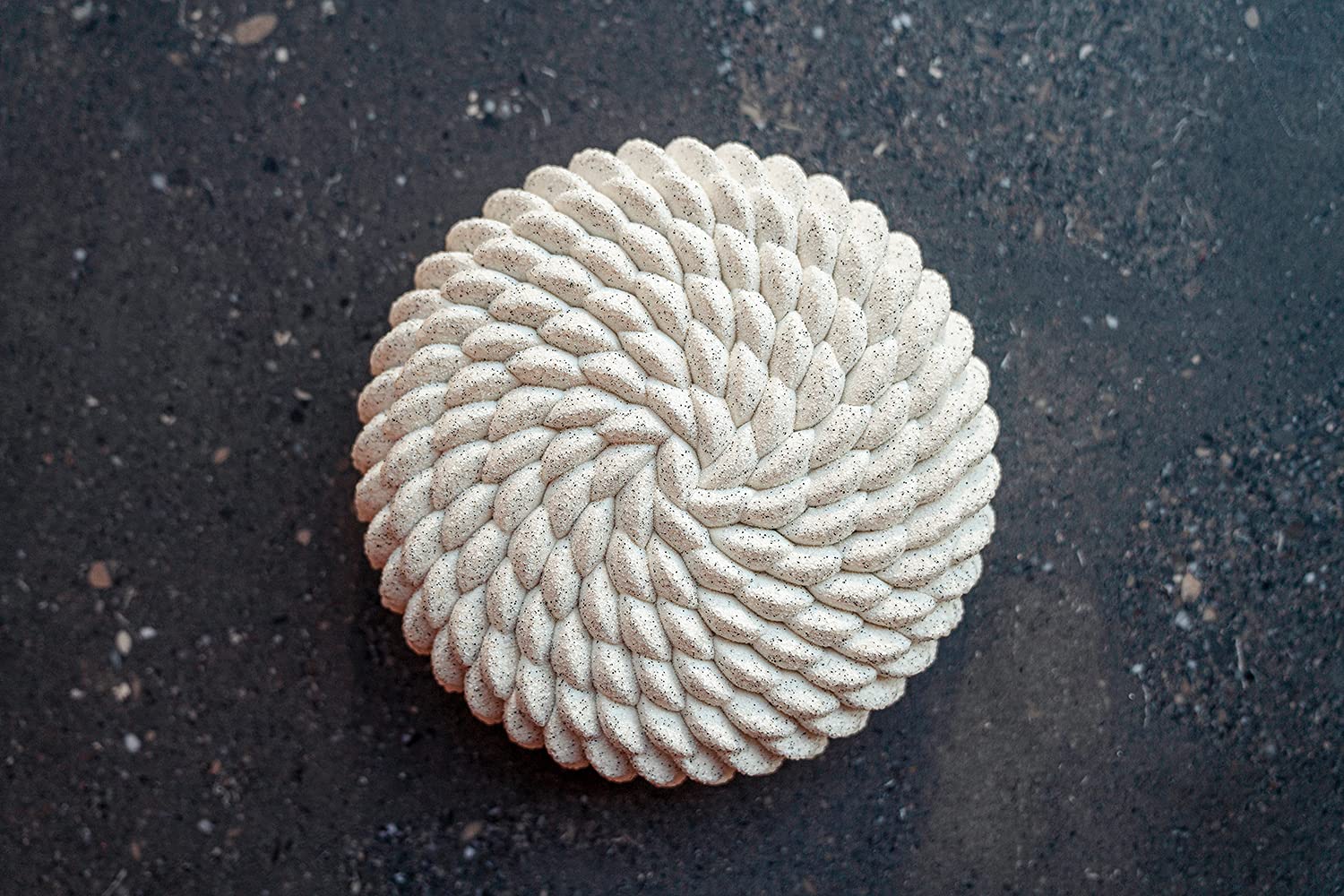 Pavoni Moule Façon Saint-Honoré by Cédric Grolet - 1 cavité (Ø18cm)