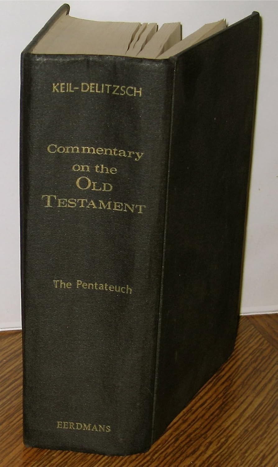 Commentary on the Old Testament Volume I (Commentary on the Old ...