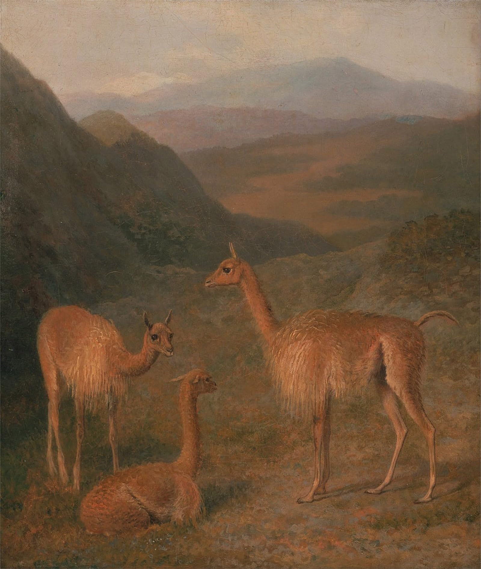 POSTERIIk Famous Animal Posters Vintage Picture Vicunas by Jacques Laurent Agasse Modern Wall Decor for Home Decor 60x90cm