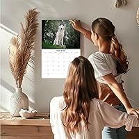 Vista 465 de Razas de Perros 2017