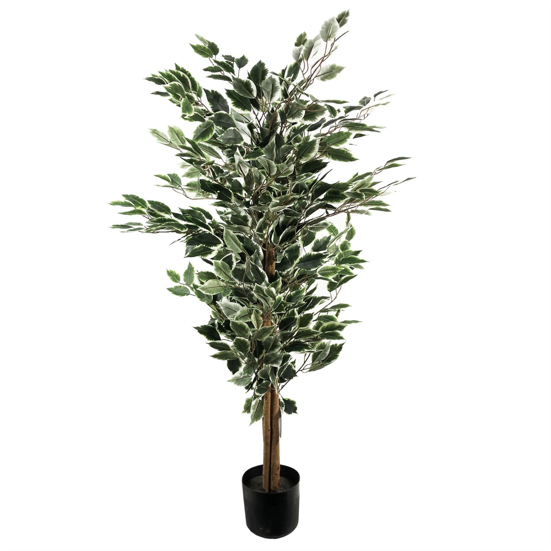 B&Q -  Artificial 130Cm Tall Variegated White/green Bushy Ficus Tree