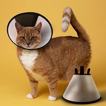 PALLY Pets' Products Adjustable Cat Cone (Size 3, Small) Plastic E-Collar Protective Collar for After Surgery Anti-Bite Lick Wound Healing Safety Practical Pet Cone Recovery Collar (Small)