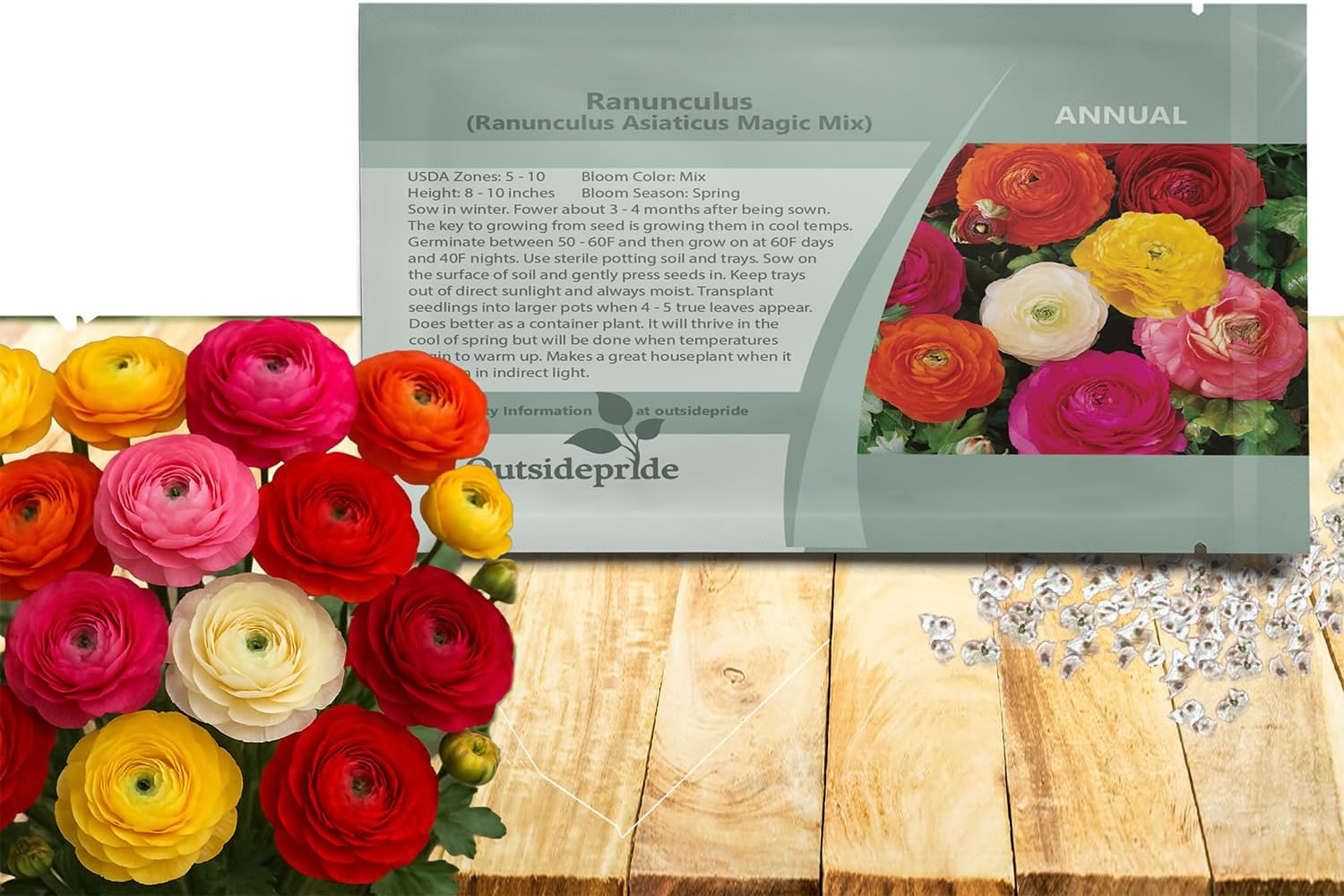 Outsidepride Persian Buttercup Magic Mix Ranunculus Seeds - 20 Pcs Annual, Vibrant Easy to Grow Seeds for Planting, Bright Colorful Ranunculus Flowers for Garden Beds & Cut Flowers