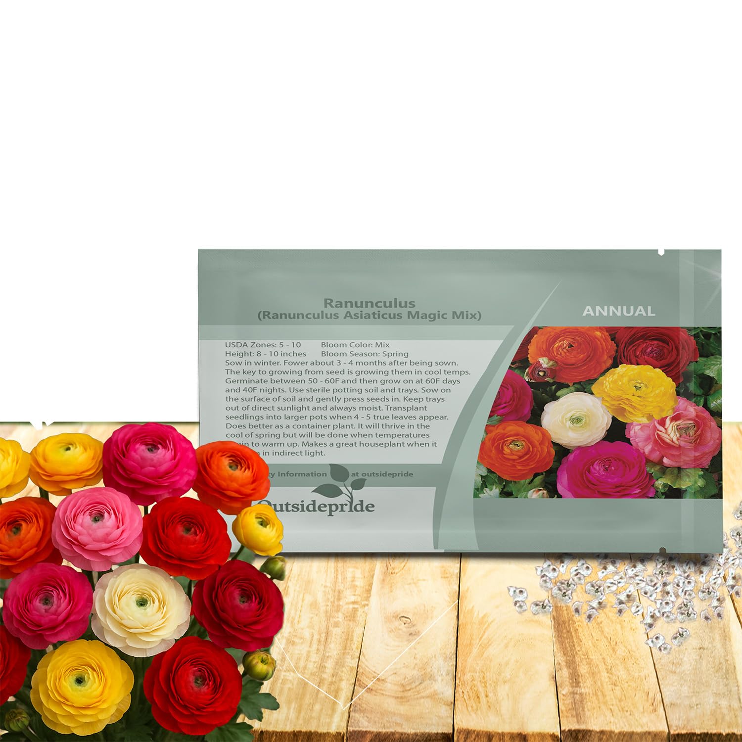 Outsidepride Persian Buttercup Magic Mix Ranunculus Seeds - 20 Pcs Annual, Vibrant Easy to Grow Seeds for Planting, Bright Colorful Ranunculus Flowers for Garden Beds & Cut Flowers