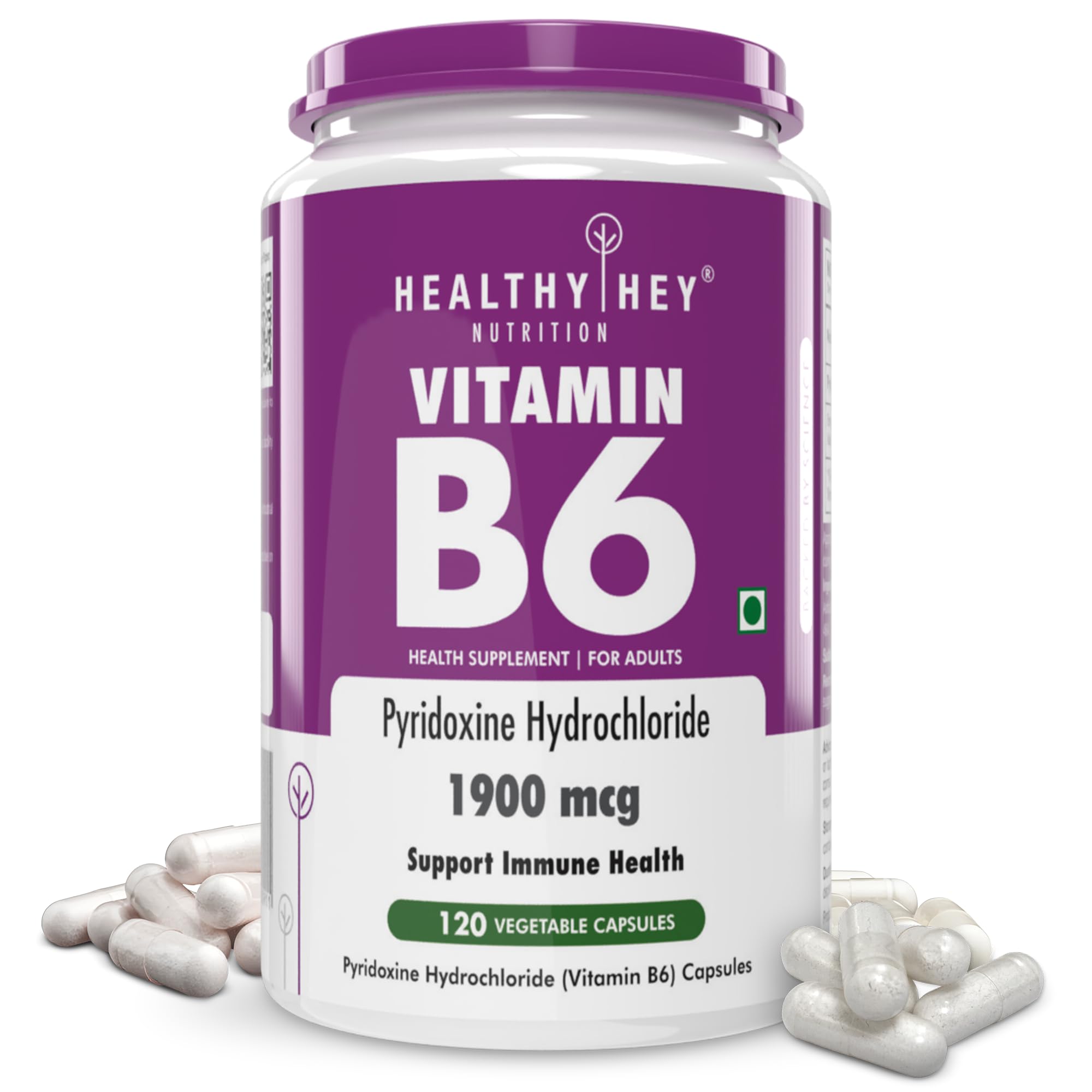HealthyHey Nutrition Vitamin B6 Pyridoxine -120 Veg. Capsules