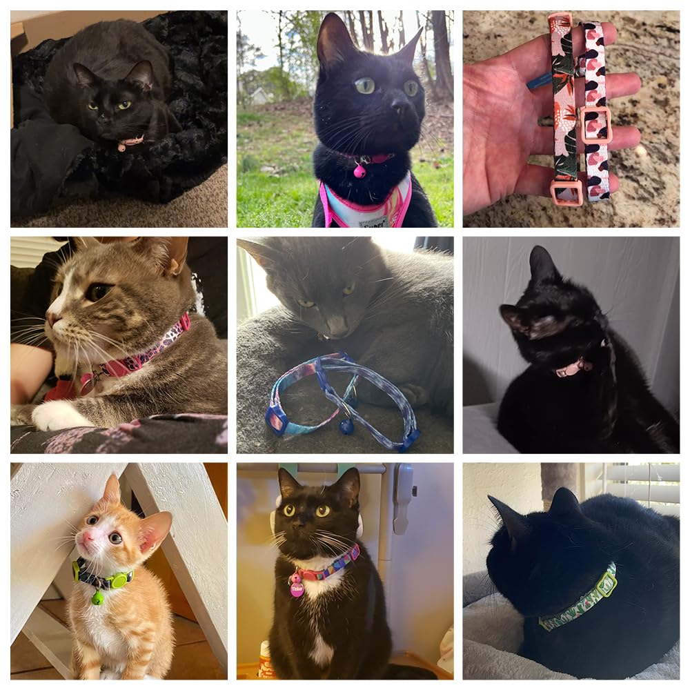 Breakaway Katzenhalsbänder für Mädchen, Jungen, Katzen, personalisiert mit verschiedenen Mustern, 2 Stück, niedliche klassische Sicherheitsschnallen und Glocken, verstellbar, bunt, rosa