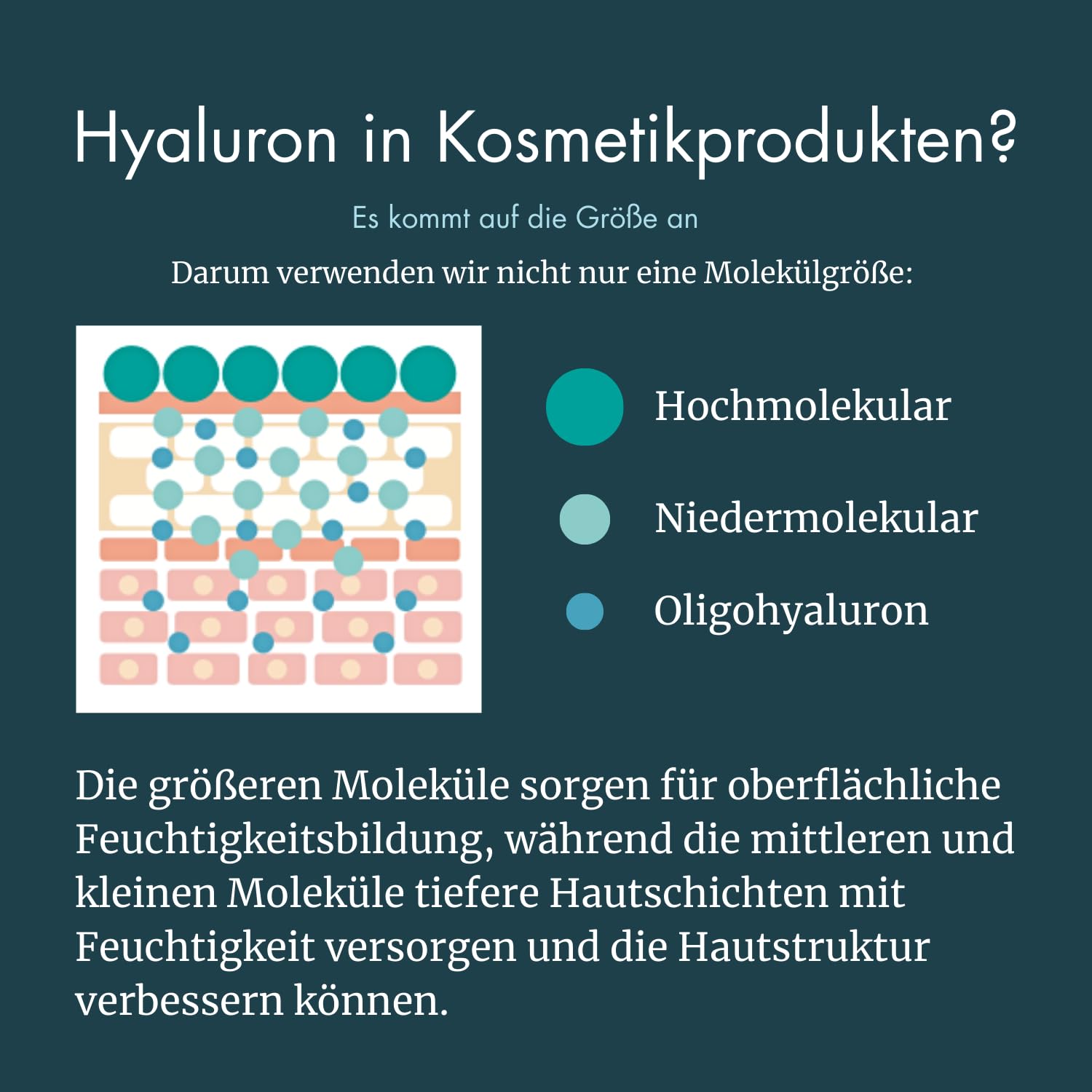 BEAUTY INTENSE Hyaluron Serum 50ml, Anti-Aging Elixier mit Zink, MSM & Silber, multimolekulare Feuchtigkeitspflege, vegan, made in Germany für sensible & reife Haut