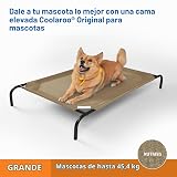Ver la foto 2