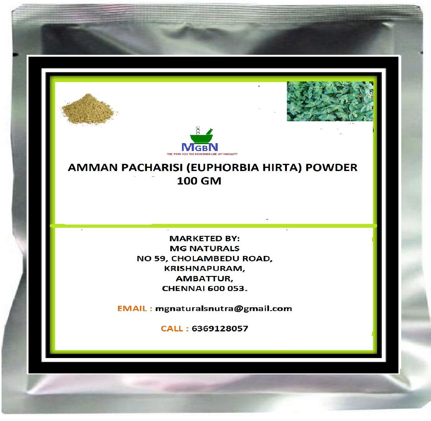 AMMAN PACHARISI (EUPHORBIA HIRTA) POWDER-100 GM-image-28