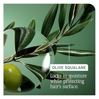 Biolage Strength Recovery Deep Treatment - Instantly Nourishes & Protects, Fortifies Strands, Reduces Breakage, With Olive Squalane & Proteins, Vegan, Paraben-Free