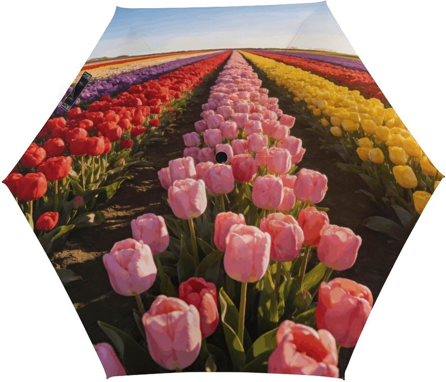 Bulb Fields Printed Exterior 5 Fold Umbrella,Windproof Travel Umbrella for Sun Protection, Small Portable,Compact Umbrellas for Travel, Purse Or Backpack