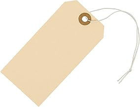 paper luggage tags with string