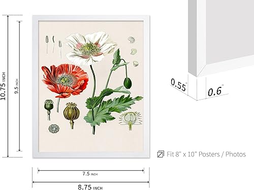 Miniatura 498 de Poster Master Póster vintage de orquídea, estampado de flores retro, arte de pared de plantas exóticas, arte botánico, regalo para hombres y