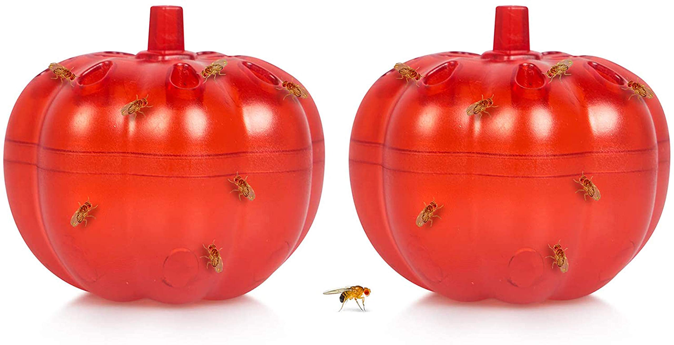 DELFINO Fruit Fly Traps Indoor, for Indoors and Kitchen Small and Flexible Easy to Carry, Small Pumpkin Fruit Fly Trap for Home Against Pests Fruit Flies, Small Flying Insects - 2Pcs