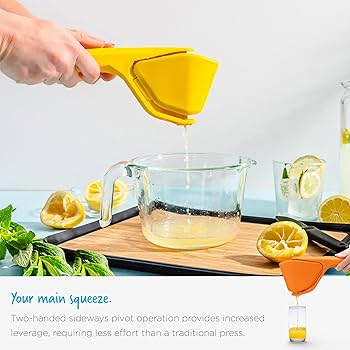 juicerページ VEVOR Juicer Machine, 850W Motor Centrifugal Juice Extractor